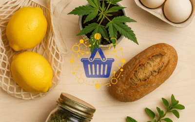 Choose Smarter, Live Better: Smart Wholesale Tips