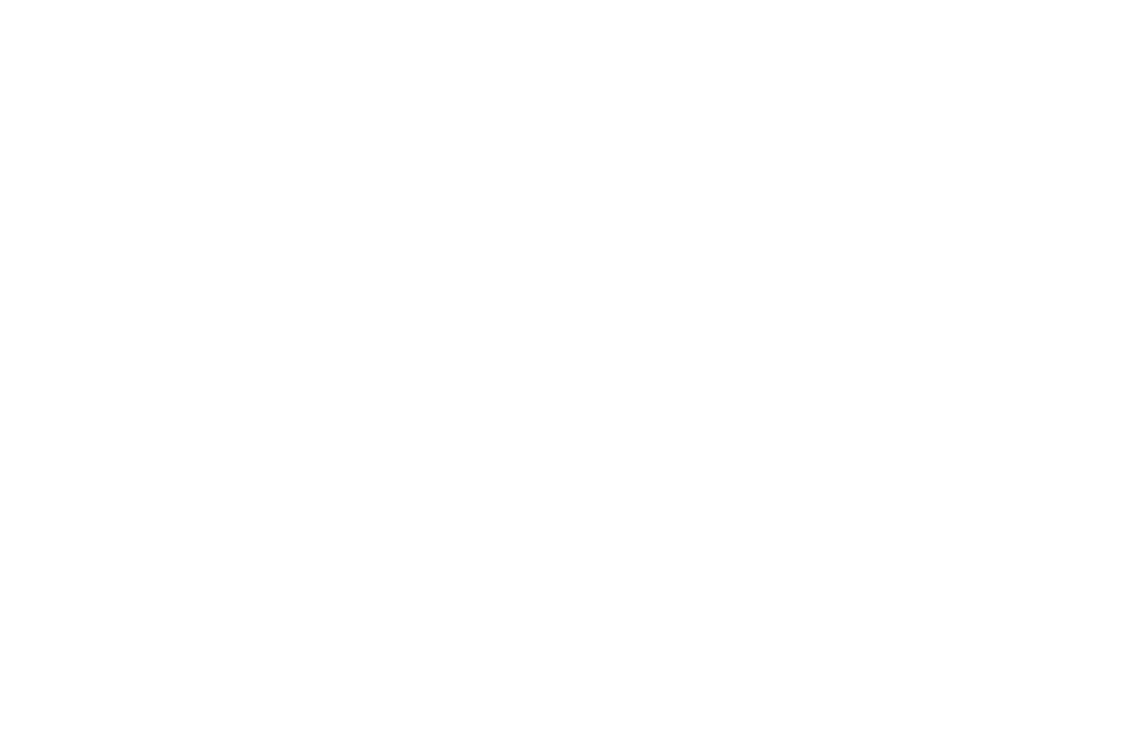 Cesicurls Wash (3)