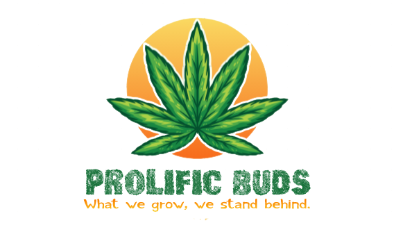 Prolific.buds