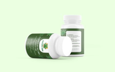 CBD in Europe: What It Is and 5 Key Things to Know as a Wholesaler